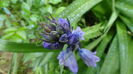 DSC00033