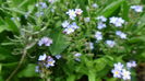 DSC00035