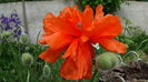 DSC00046