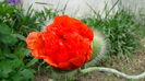 DSC00047