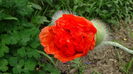 DSC00048