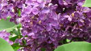 DSC00053