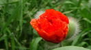 DSC00058