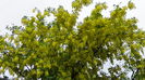 DSC00068