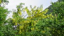 DSC00069