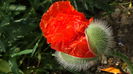 DSC00071