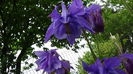 DSC00074