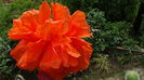 DSC00077