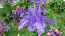 DSC00078