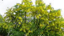 DSC00080