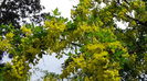DSC00086