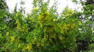 DSC00088