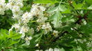 DSC00091