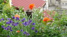 DSC00093