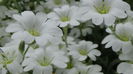 DSC00095