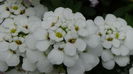 DSC00098