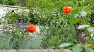 DSC00100