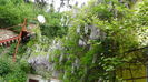 DSC00119