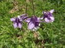 DSCF3798