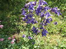 DSCF3806