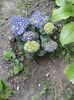 20150516_183846