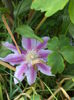 DSC03755