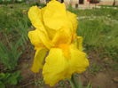Ola Kala