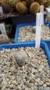 20150516_132531