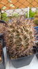 20150516_132759