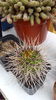 20150516_132824
