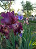 DSCN9156