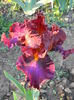 Ransome note