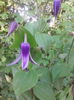 IMG_20150514_190658