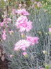 IMG_20150513_195418