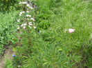 DSCN9551