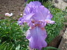 DSC07550