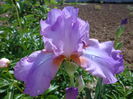 DSC07548