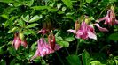 DSC00298