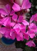 20150517_155327