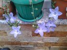 20150517_130142