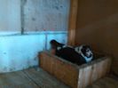 IMG_20150517_160507