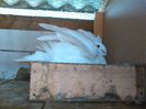 IMG_20150517_160523