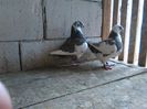 IMG_20150517_160855
