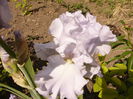 P1230798
