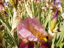P1230801