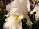 P1230807