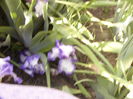 P1230808