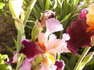 P1230813