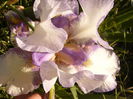P1230815