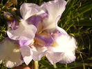 P1230817